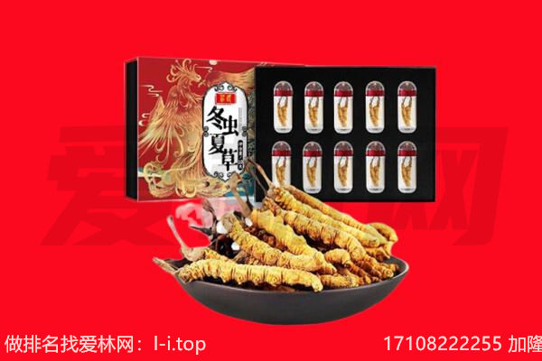 临沧凤庆县回收虫草.jpg